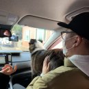 소밥주는남자 이미지