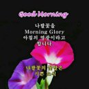 참좋은일터 이미지