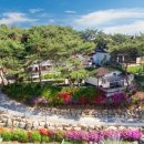 솔푸른향기애견 이미지