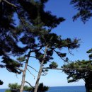 후암초교 이미지