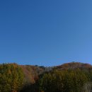 석달열흘가리 이미지