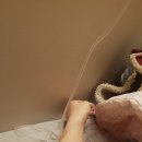 라자로성모의원 이미지