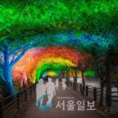 덕풍천동로 이미지