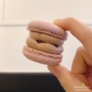 시민로205번길 이미지