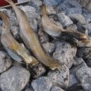 건어물만물상회 이미지