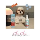 마이덴탈랩 이미지