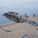 주문진수산시장 이미지