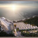 (12월 31일 해돋이) 영덕 파나크 풀빌라 오션 양도합니다! 이미지