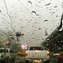 저단38 | 꿉꿉한 장마철, 내 차는 괜찮을까? ☔️