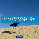인카운터스 | 시드니 포트스테판 투어 | 호주 포트스티븐스 아이랑 투어 예약 비교 가격(옷차림, 준비물 등) 후기 TIP