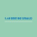 하늘빛 태권도 이미지