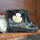 카멜리아플라워 이미지