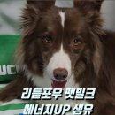 리틀포우 이미지