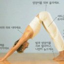 아디다스향남