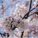 논산지구대 앞 이미지