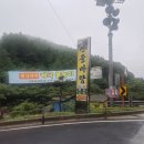 너구리(성주점) | 성주 포천 계곡 평상 대여 다양한 포인트로 물놀이하기좋은 산들바람