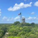 팜독 | [칸쿤 신혼여행] 스칼렛아르떼 꿀팁 총정리 방문 전 필독 (+코코봉고) 팜투어