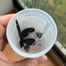 분당연세보청기 이미지