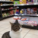 쉼터편의점 이미지