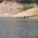 민들레장 이미지