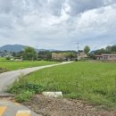 주산초등학교 이미지