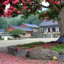 블로그만들기(중급반) 이미지