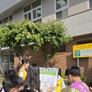망월초등학교 경기인터넷신문