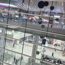 씽씽타이어 | 해외여행 준비, 주차 걱정은 이제 씽씽 맡겨버려요!