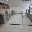 이든반려견 문화센터 이미지