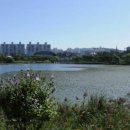 왕송호수 산책로(정자) 이미지