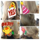 헤어타이 0819