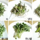 쿡짱
