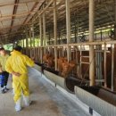 도원축산 이미지