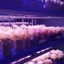 수정동농장 이미지