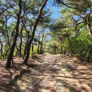 호암늘솔길 화장실 이미지