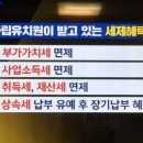 새순유치원 이미지