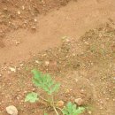 공이농장 이미지