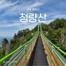 하늘다리 | 청량산 등산코스 하늘다리 장인봉 최단코스 후기