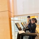 푸라닭제주표선점 이미지