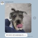 하임동물병원 | 김포 동물병원 | 하임동물의료센터 | 수술, 입원 감동 후기