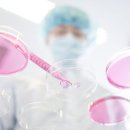 일라이메드 | 20조 넘긴 K바이오 기술 수출…"플랫폼 기술 앞세워 역대 최대 기록"