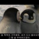 아디오스 이미지