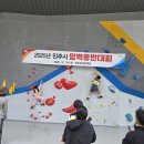 스파이더진주