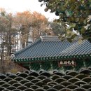 봉산면006 Daum카페