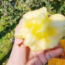 김삿갓농장 이미지