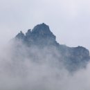 대륙농산