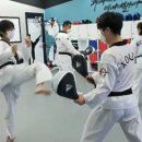 송우태권도 이미지