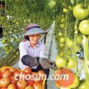 보성군쓰레기소각장 이미지