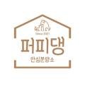 대전고양이분양 퍼피댕 캣 안심분양소 둔산점 이미지
