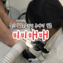 비비배배 | 울산 발톱무좀 관리 발톱교정 젤리스파 비비배배 케어후기 및 심야영업시간